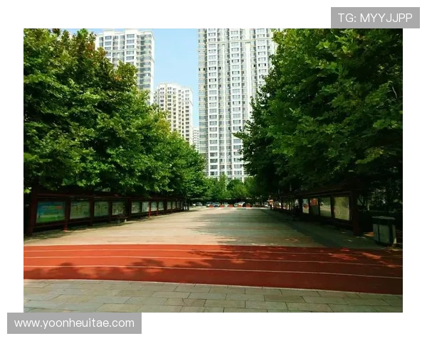 乐天体育app苹果支付方式支持情况及安全保障措施全面解析