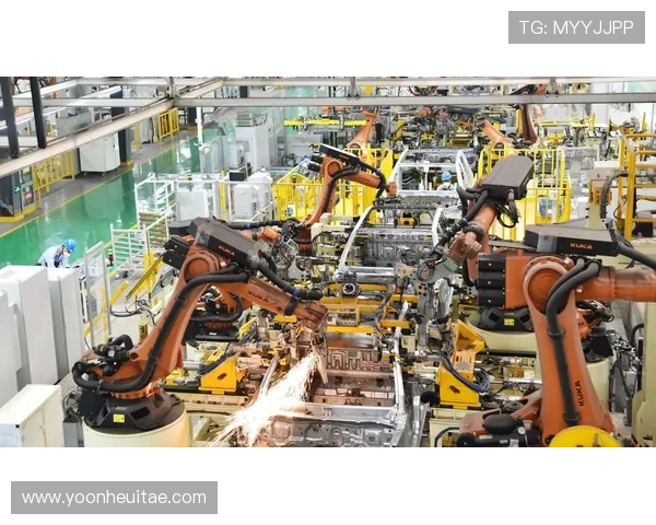 体博网多元化盈利模式的构建与实践经验总结